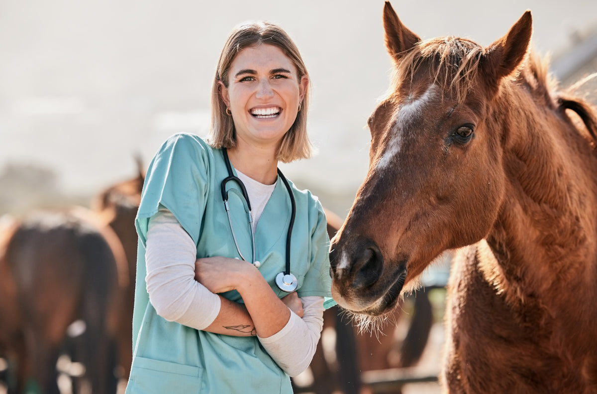 Gesundheitscheck: Wann macht ein Blutbild bei deinem Pferd Sinn?