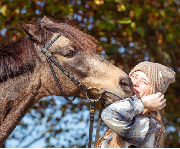 Shivering beim Pferd: Was du wissen solltest