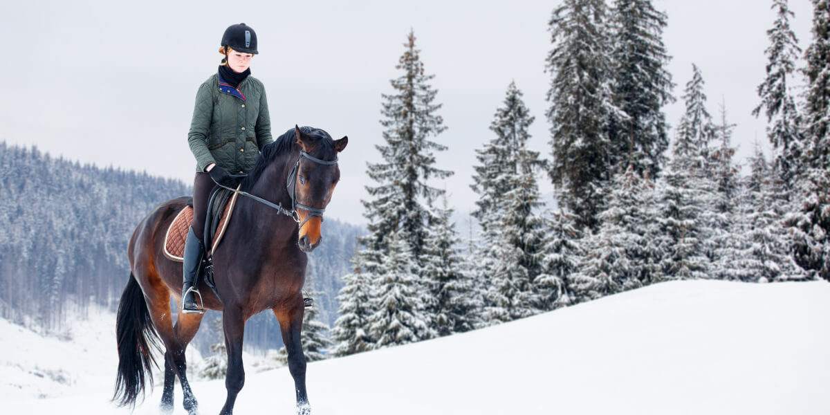 Trainieren im Winter Reiterin mit Pferd im Schnee in den Bergen - PegaNatur