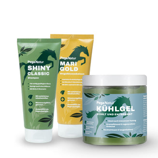PegaNatur Wellness-Paket