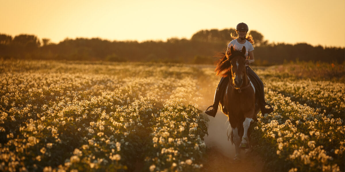 Frau reitet mit Pferd über die Felder im Sommer - PegaNatur
