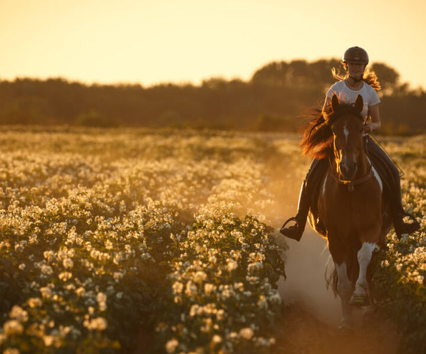 Frau reitet mit Pferd über die Felder im Sommer - PegaNatur