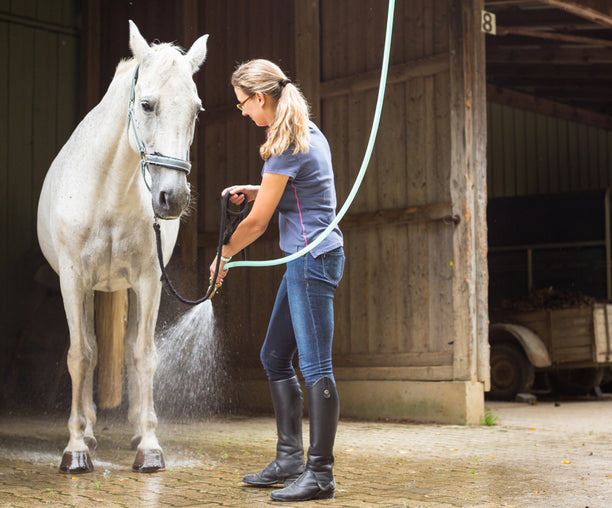 Pferdeshampoo: Alles Wissenswerte zur richtigen Pferdepflege
