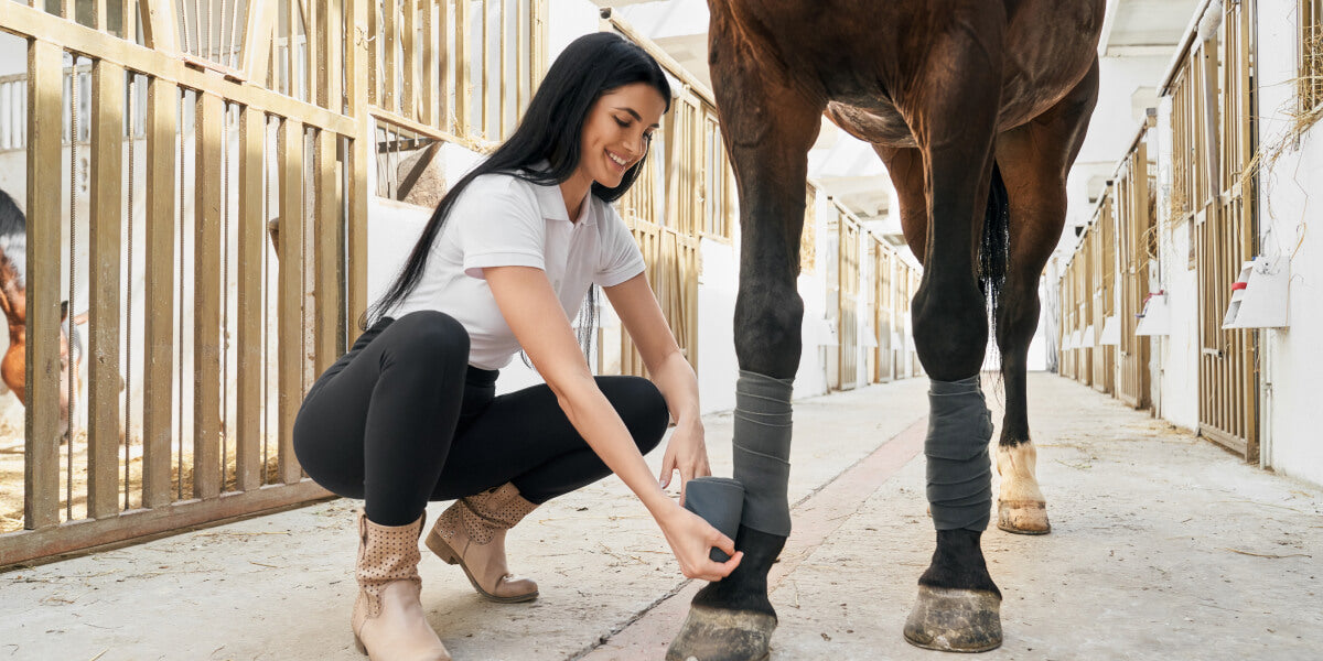 Bandagen verursachen einen Hitzestau, der die Sehnen schädigt. Mit einer langanhaltenden Kühlung schützt du die Beine deines Pferdes.