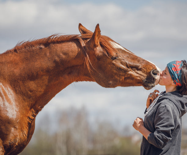 Stichelhaare bei deinem Pferd: Was steckt dahinter und was kannst du tun?