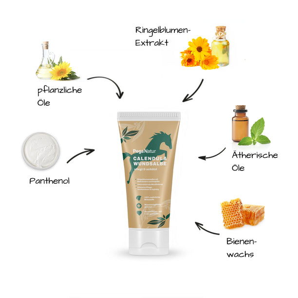 PegaNatur CALENDULA WUNDSALBE mit Ringelblume und Propolis Pferd
