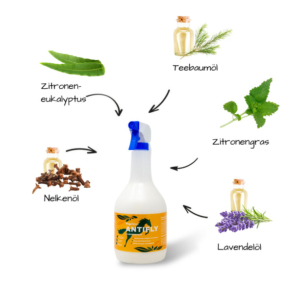 PegaNatur Sommer-Paket
