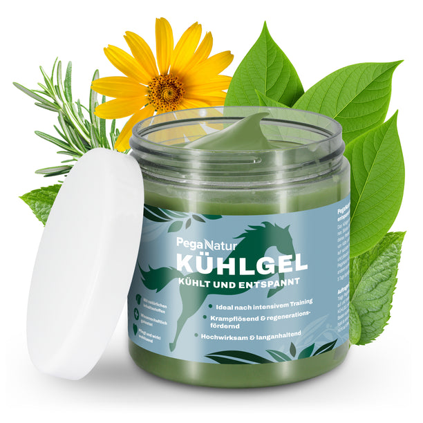 PegaNatur KÜHLGEL mit natürlichen Inhaltsstoffen für dein Pferd _ tiefenwirksam dank Arnika und Kampfer