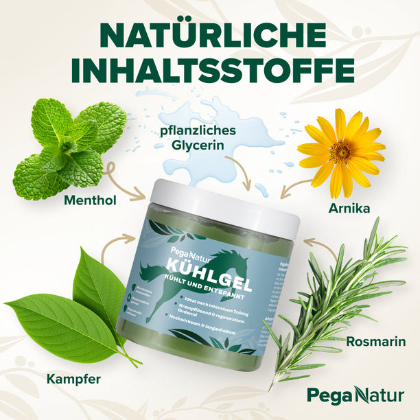PegaNatur KÜHLGEL mit natürlichen Inhaltsstoffen für dein Pferd _ tiefenwirksam dank Arnika und Kampfer