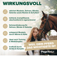 PegaNatur KÜHLGEL _ wirkungsvoll