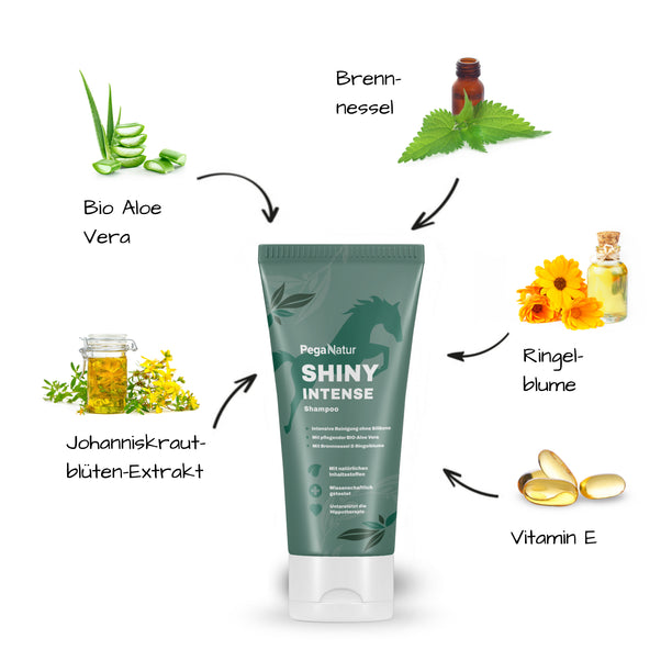 PegaNatur SHINY INTENSE _ Shampoo für dein Pferd bei Ekzem, Pilze und andere Hautirritationen 