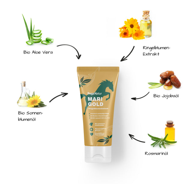PegaNatur MARIGOLD _ Ringelblumenbalsam mit natürlichen Inhaltsstoffen für dein Pferd 