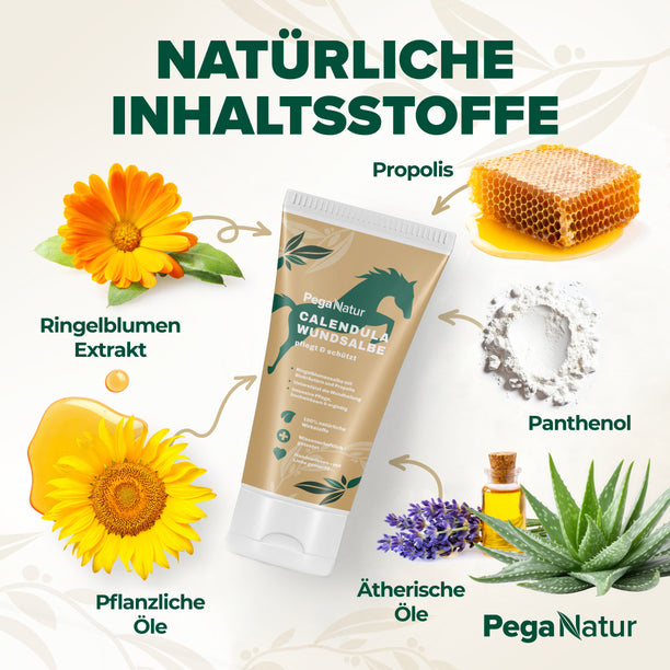 PegaNatur CALENDULA Wundsalbe mit natürlichen Inhaltsstoffen wie Propolis gegen Mauke, Ekzem und offene Wunden 