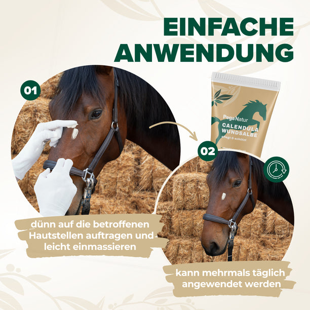PegaNatur CALENDULA Wundsalbe mit natürlichen Inhaltsstoffen wie Propolis gegen Mauke, Ekzem und offene Wunden 