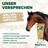 PegaNatur MARIGOLD Ringelblumenbalsam für dein Pferd _ unser Versprechen