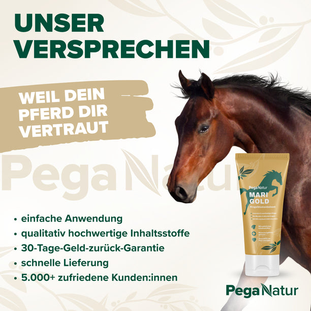 PegaNatur MARIGOLD Ringelblumenbalsam für dein Pferd _ unser Versprechen