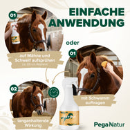 PegaNatur ANTIFLY natürliches Fliegenspray mit Zitronengras und Eukalyptus gegen Fliegen, Kriebelmücken, Bremsen und andere Insekten 