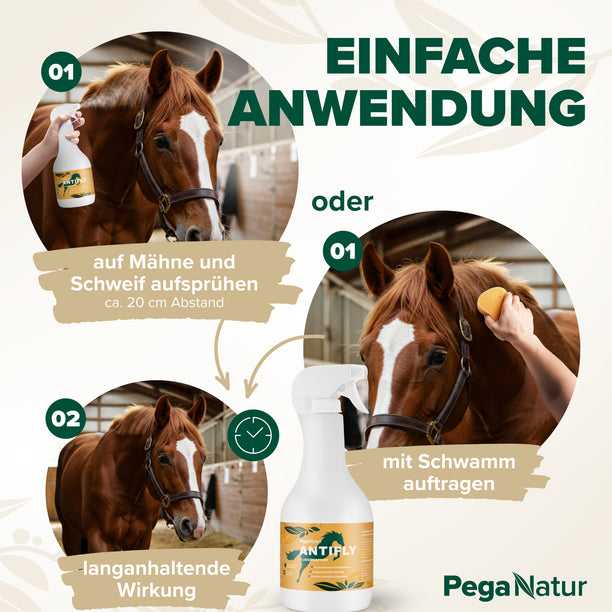 PegaNatur ANTIFLY natürliches Fliegenspray mit Zitronengras und Eukalyptus gegen Fliegen, Kriebelmücken, Bremsen und andere Insekten 
