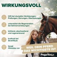 PegaNatur Tonerde COOL mit Essigsäure und natürlichen Kräutern _ wirkungsvoll