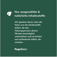 Woran wir bei PegaNatur glauben - unser Statement