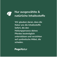 Woran wir bei PegaNatur glauben - unser Statement