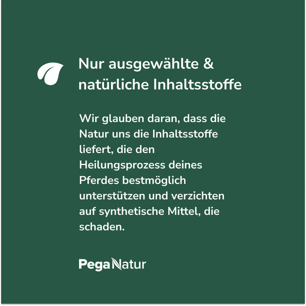 Woran wir bei PegaNatur glauben - unser Statement