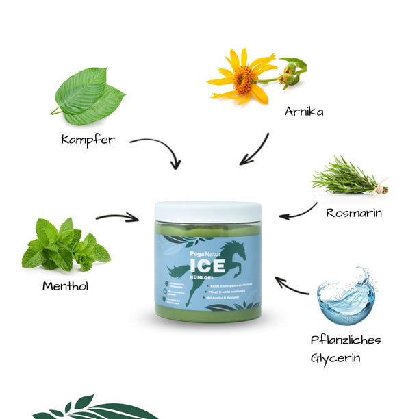 Inhaltsstoffe PegaNatur ICE - Kühlgel für Pferde